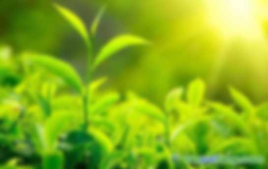環(huán)境、社會及管治(ESG)培訓(xùn)課程招生簡章官網(wǎng)最新信息發(fā)布