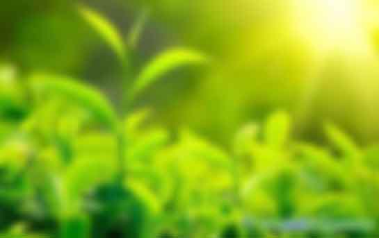 疫情陰影下，CCER憑什么六個(gè)月價(jià)格暴漲三倍？