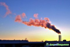 人社部碳交易師和碳排放管理師哪個(gè)好？證書有用嗎？再哪里報(bào)考的官方報(bào)名入口來了