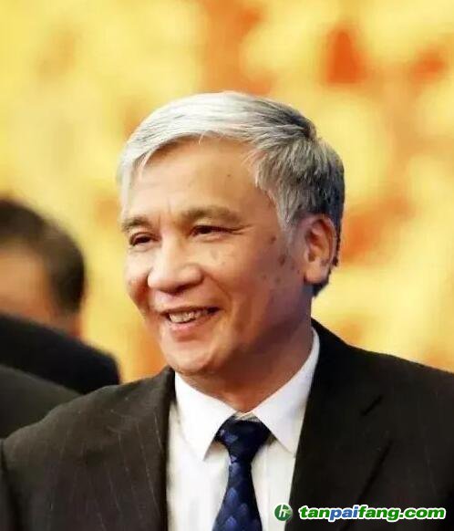 全國(guó)人大常委會(huì)副委員長(zhǎng)丁仲禮：中國(guó)碳中和，可這樣“四步走”！