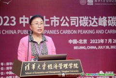 無限夸大碳匯收益 誤導市場走向！碳匯交易呈現(xiàn)出“劣幣驅(qū)除良幣”的態(tài)勢