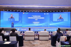 在廣東，碳配額抵質(zhì)押融資有了地方標(biāo)準(zhǔn)