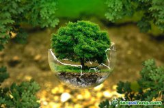 控排企業(yè)碳資產管理代運營：配額籌劃、合規(guī)化改造等數(shù)據優(yōu)化、碳交易金融化思維