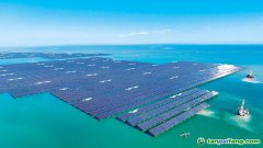 以“雙碳”牽引綠色轉(zhuǎn)型 筑牢美麗中國(guó)建設(shè)根基