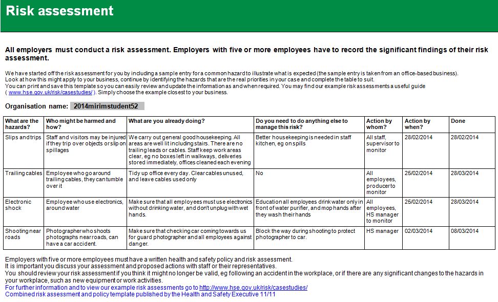it risk assessment example report