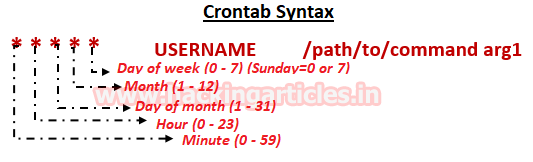 crontab run every hour example