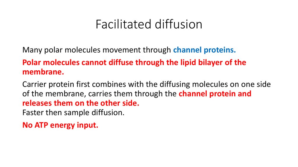 explain how facilitated diffusion works and give an example