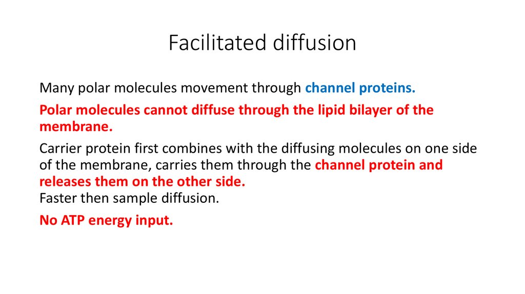 explain-how-facilitated-diffusion-works-and-give-an-example