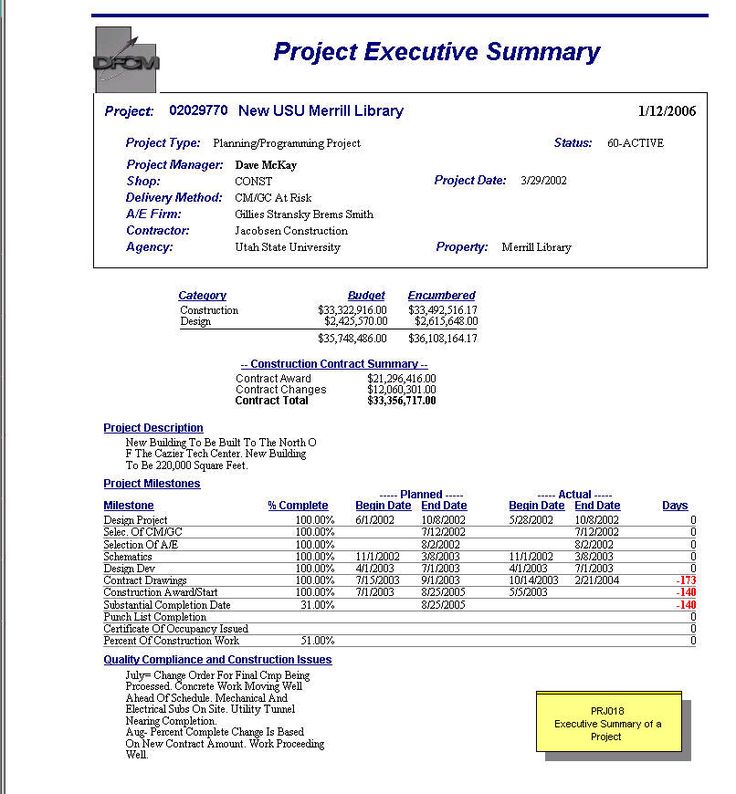 project management plan executive summary example