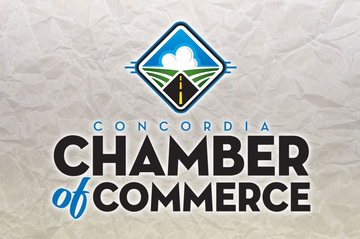 the chamber of commerce is an example of a