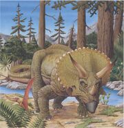what is triceratops an example of