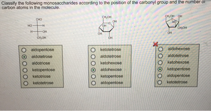which one of the following is an example of monosaccharide